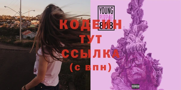 индика Лихославль