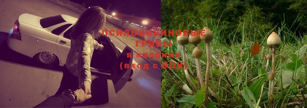 марихуана Абинск