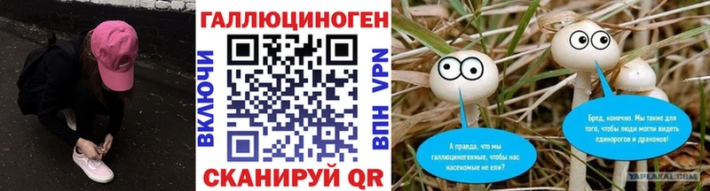 Псилоцибиновые грибы MAGIC MUSHROOMS  Брюховецкая 